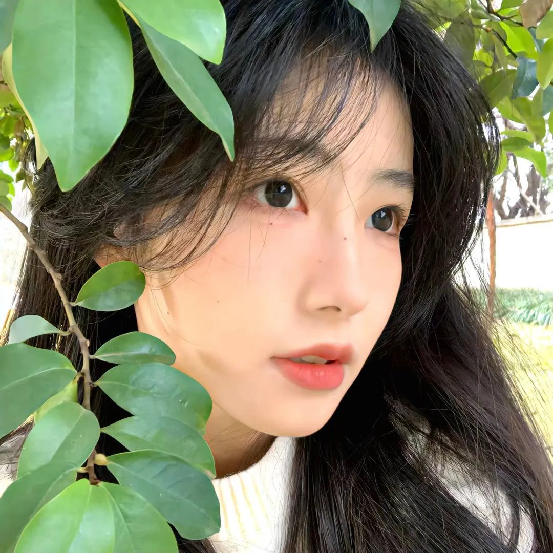 第19个妻子
